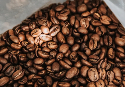 光線對烘焙咖啡的影響大不大?烘焙機如何減少光照?